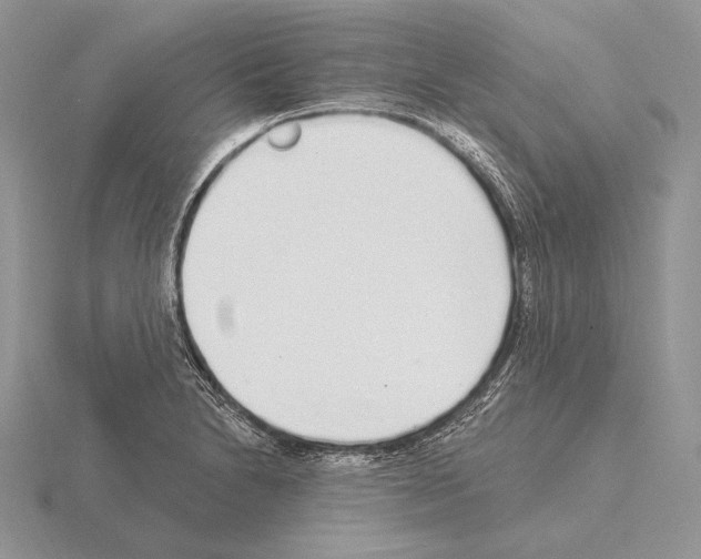 X0000115161230200912081401