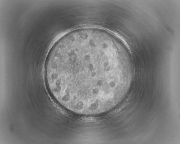 X0000115161231200912081401