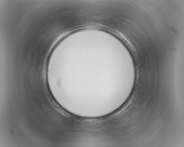 X0000115161232200912081401