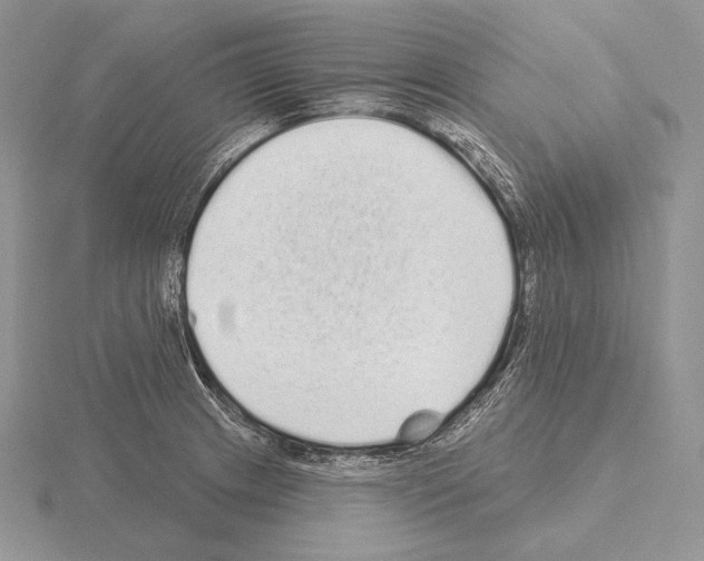 X0000115161233200912081401