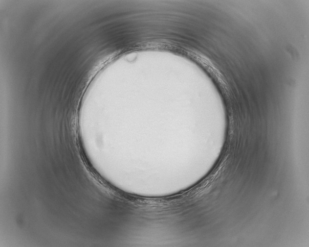 X0000115161234200912081401