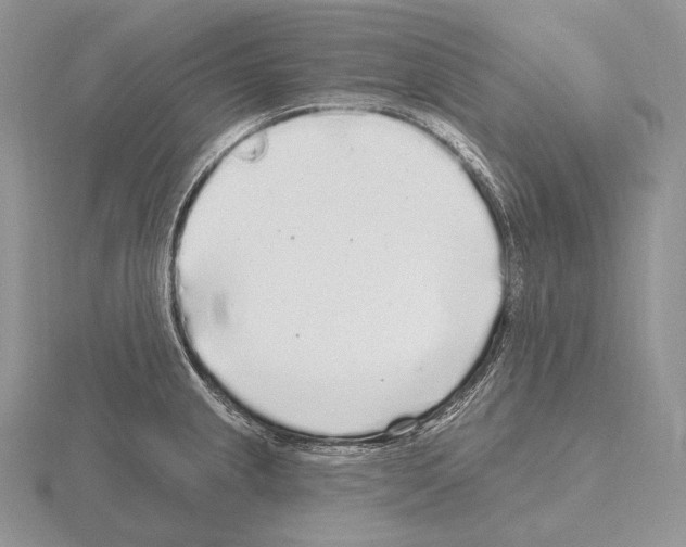 X0000115161237200912081401