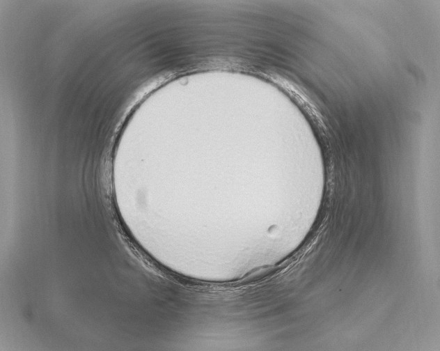 X0000115161238200912081401