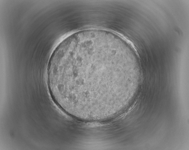 X0000115161239200912081401