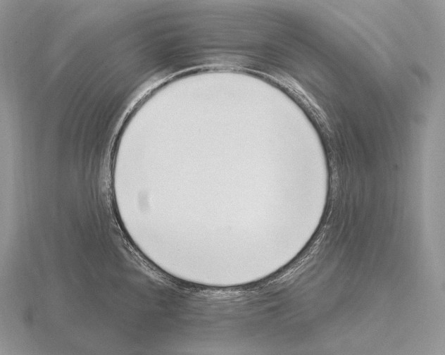 X0000115161240200912081401