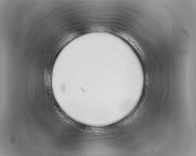 X0000115161241200912081401