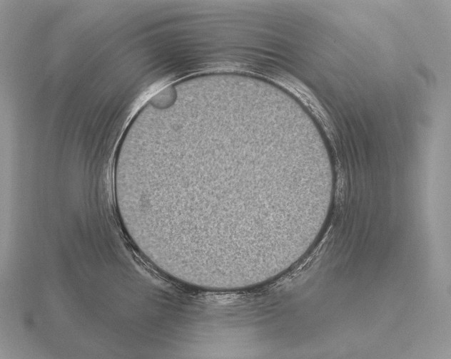 X0000115161242200912081401