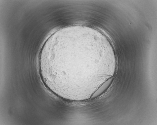 X0000115161243200912081401