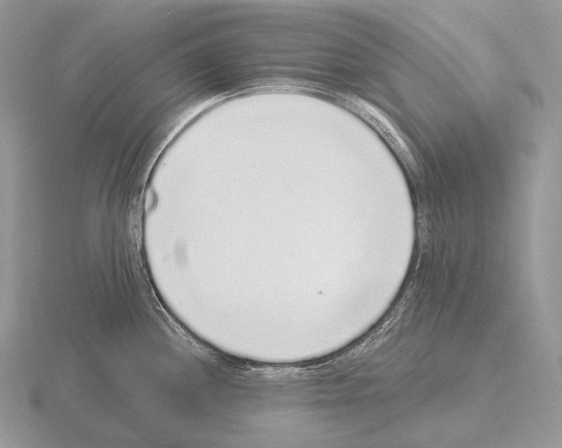 X0000115161244200912081401