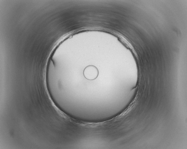 X0000115161245200912081401