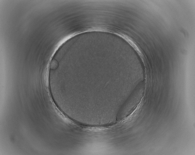 X0000115161246200912081401