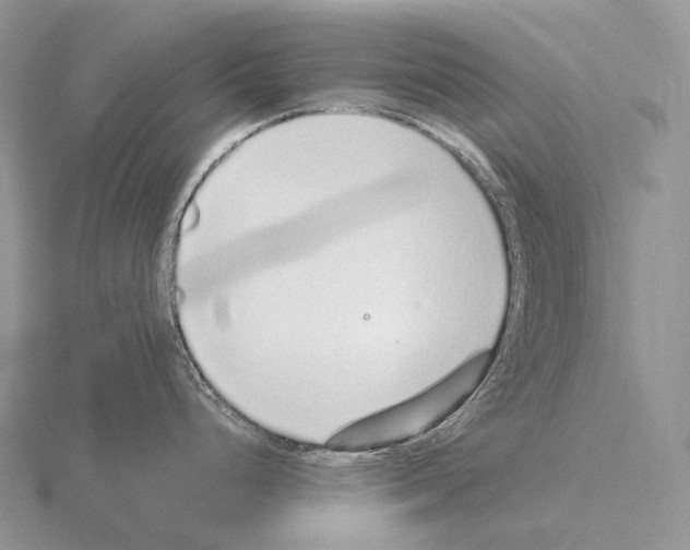 X0000115161248200912081401