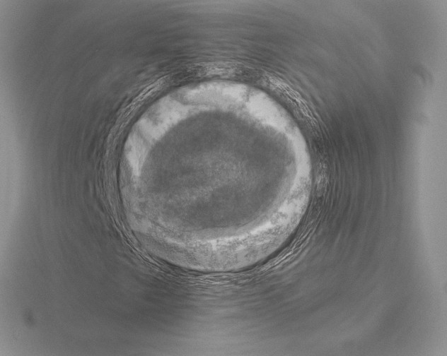 X0000115161249200912081400