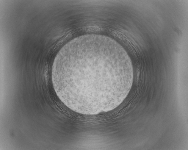 X0000115161250200912081400