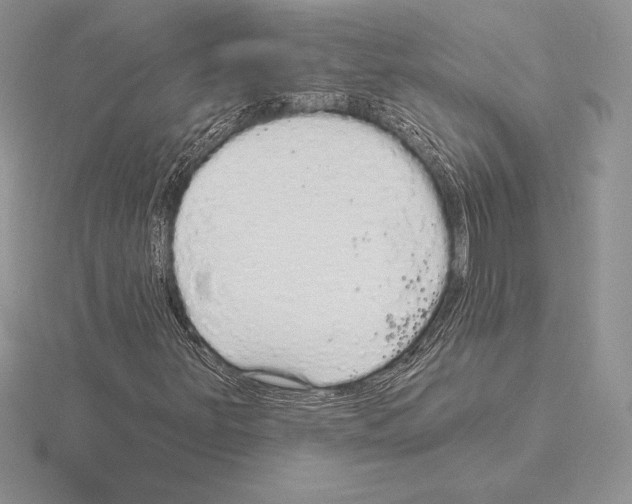 X0000115161251200912081400