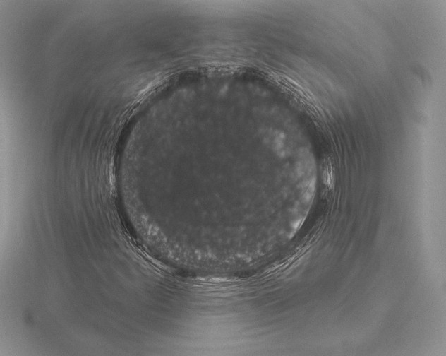 X0000115161252200912081400