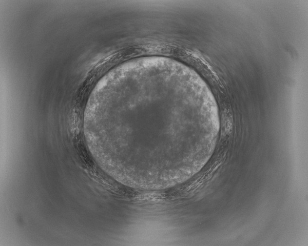 X0000115161253200912081400