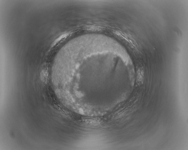 X0000115161254200912081400