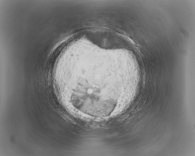 X0000115161255200912081400