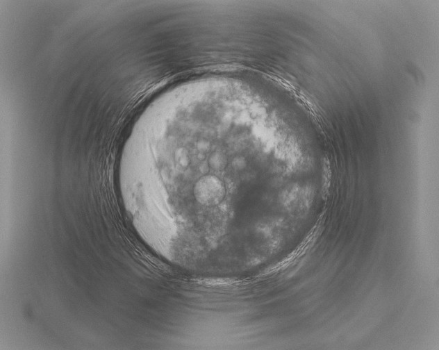 X0000115161257200912081400