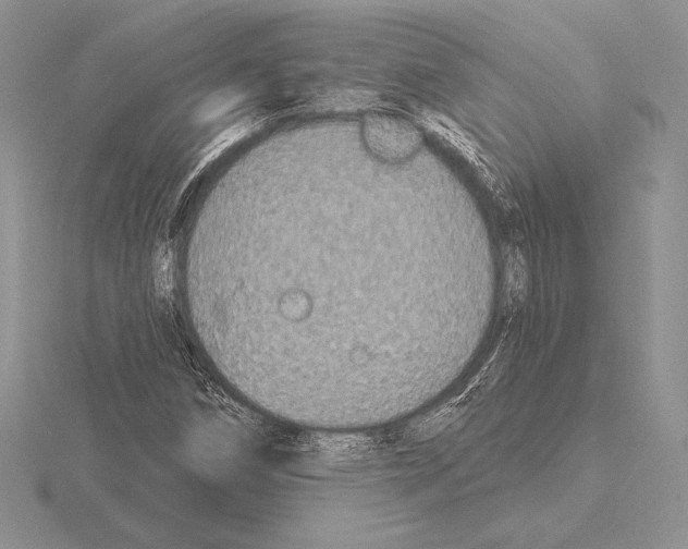 X0000115161258200912081400