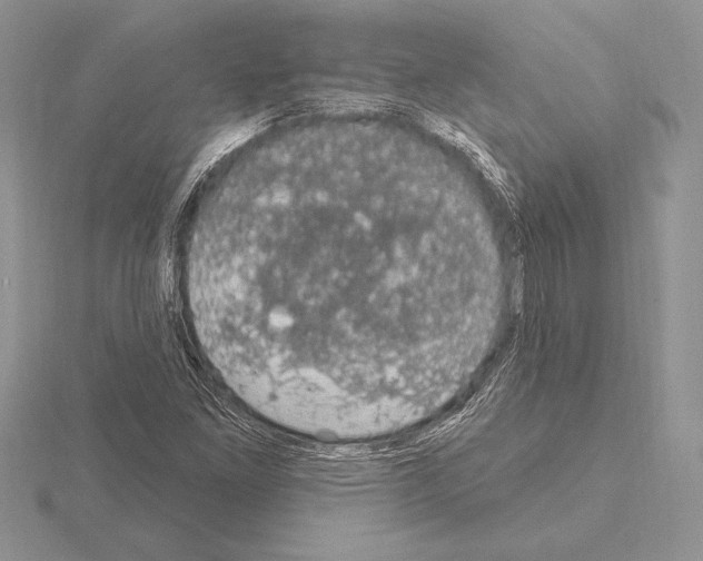 X0000115161261200912081400