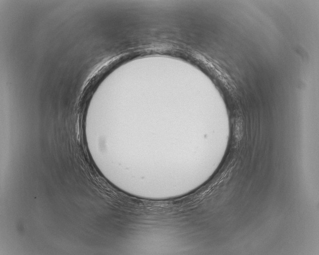 X0000115161262200912081400