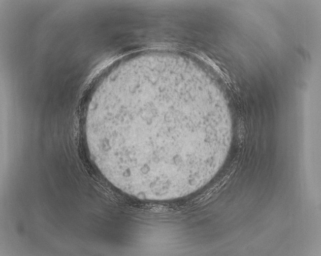 X0000115161263200912081400