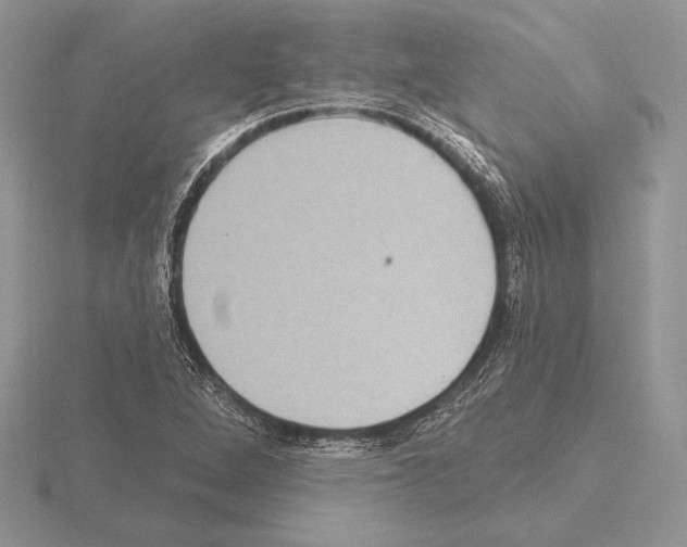 X0000115161264200912081400