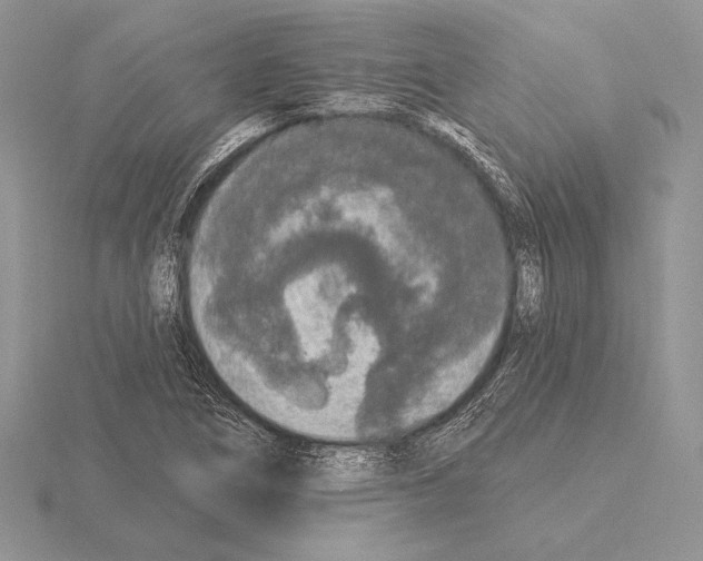 X0000115161266200912081400