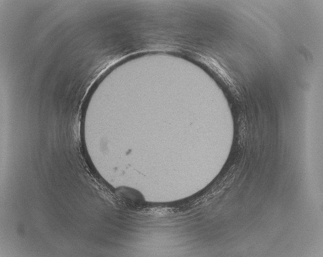 X0000115161268200912081400