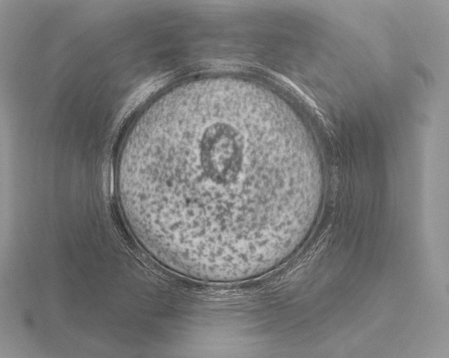 X0000115161269200912081400