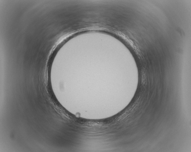 X0000115161270200912081400