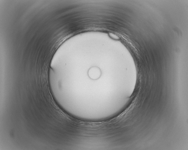 X0000115161273200912081400