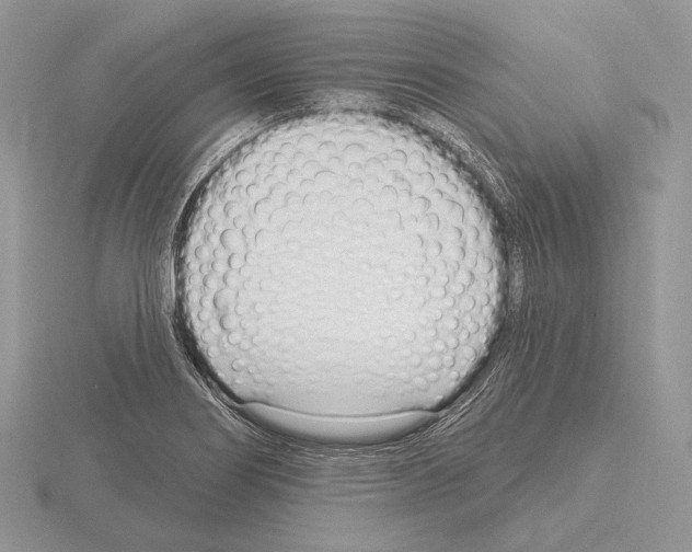 X0000115161274200912081400