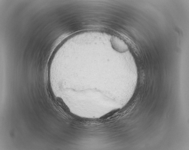 X0000115161275200912081400