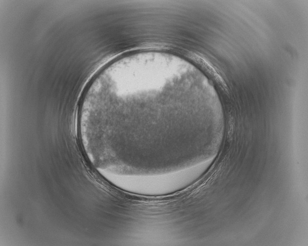 X0000115161276200912081400