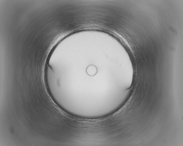 X0000115161277200912081400