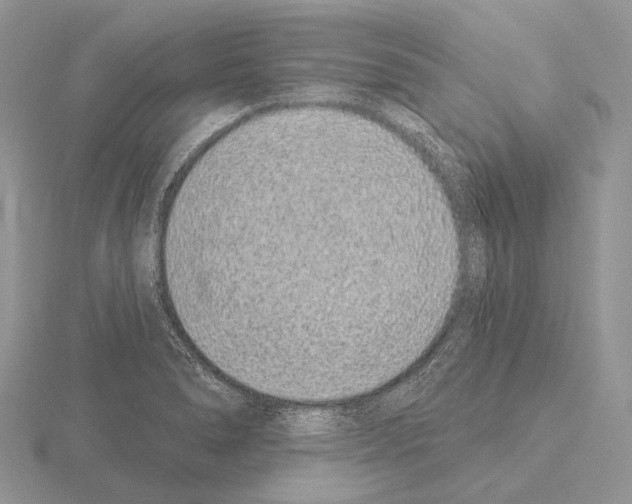 X0000115161278200912081400