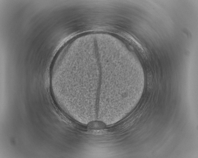 X0000115161280200912081400