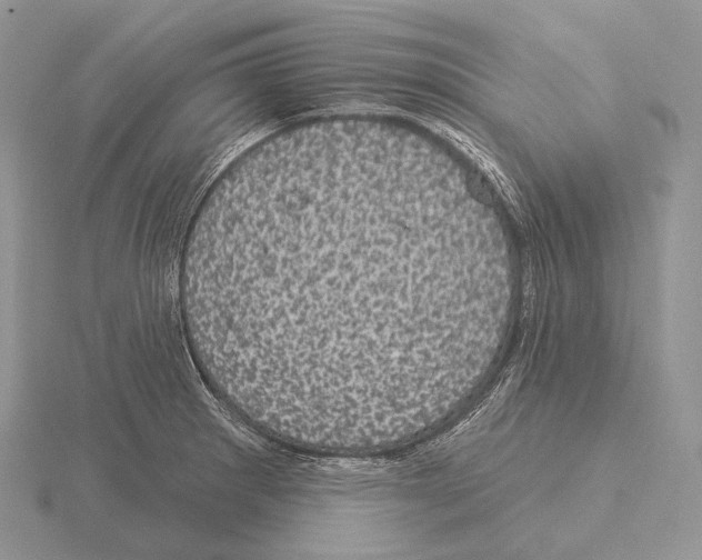 X0000115161281200912081400