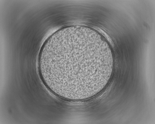 X0000115161285200912081400