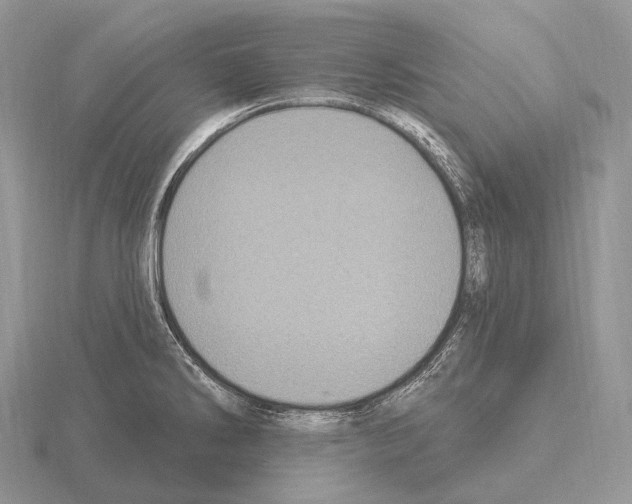 X0000115161286200912081400