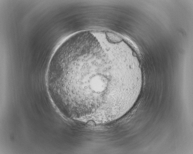 X0000115161287200912081400