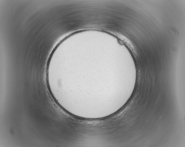 X0000115161288200912081400