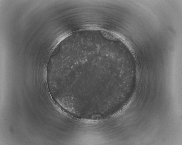 X0000115161289200912081400