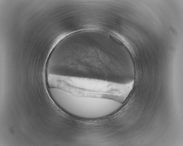 X0000115161291200912081400