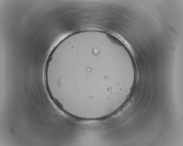 X0000115161293200912081400