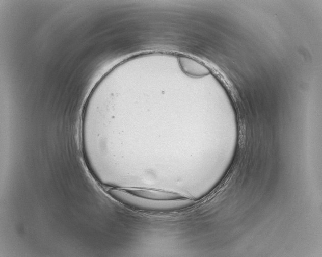 X0000115161295200912081400