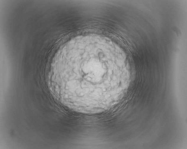 X0000115161297200912081359